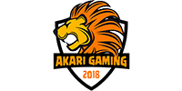 Gioco Akari