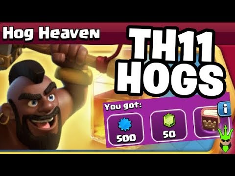 HOW TO USE HOGS AT TH11 – Hog Heaven Event