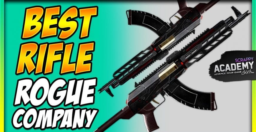 Best Rifle in Rogue Company by Scrappy Academy