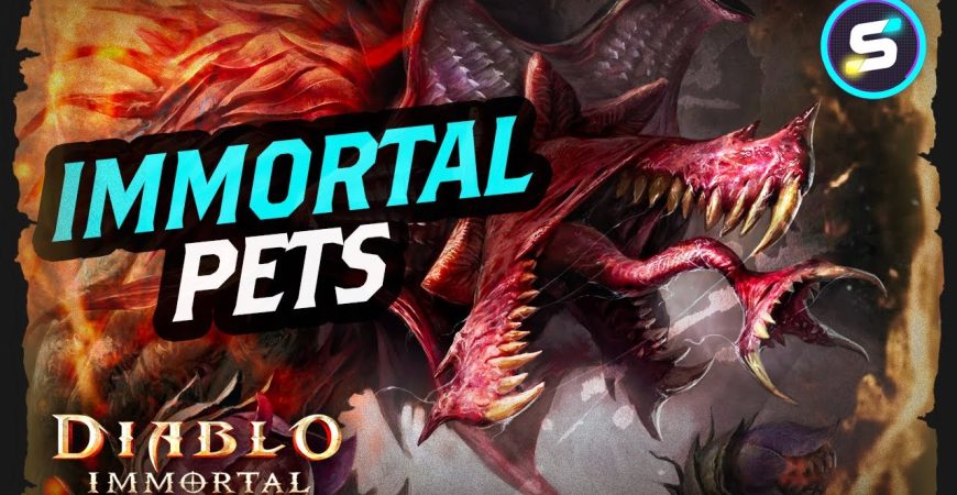 Diablo Immortal Pets (+ Set Items) are here! by Scrappy Academy