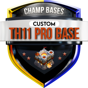 Th11-Custom-Pro-Basis